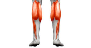 calf muscles for trigger point therapy