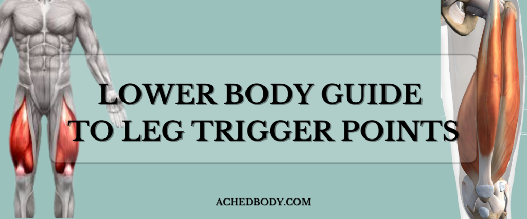 lower body trigger point guide - full lower body work
