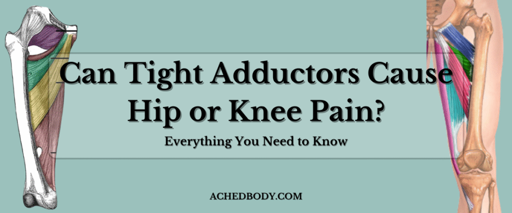 adductor knee and hip pain adductors hero image
