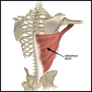 fix your lats category page link button
