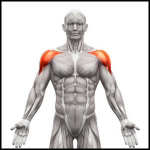 fix your shoulders category page link button