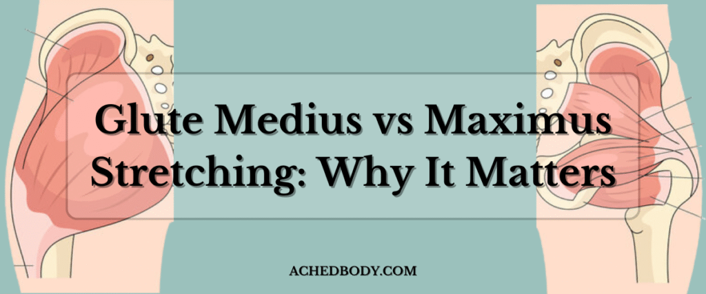 Glute Medius vs Maximus Stretching: Why It Matters