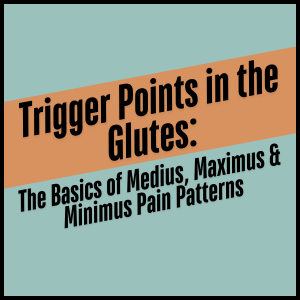 trigger points in glutes button image